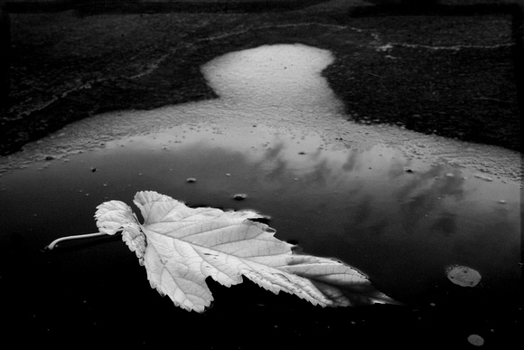 Black and White by Sabrina Fall, 2008