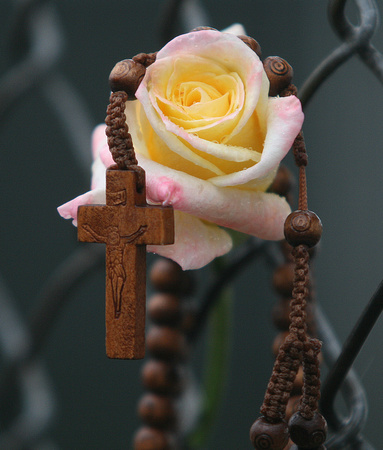 God's Rose by Billy Noriega October, 2009
